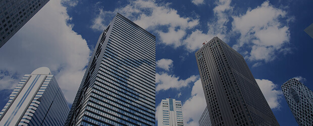 Company profile